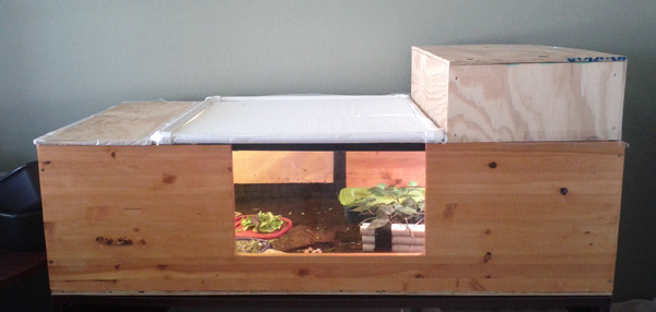 How to Build a Tortoise Enclosure